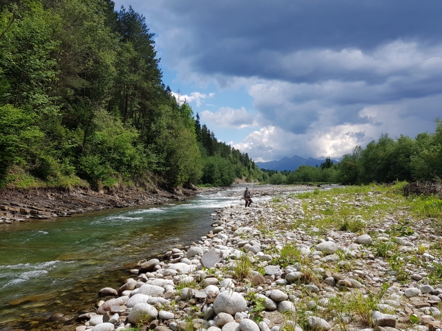 Bialka Tatrzanska, catch&release area, trout, grayling