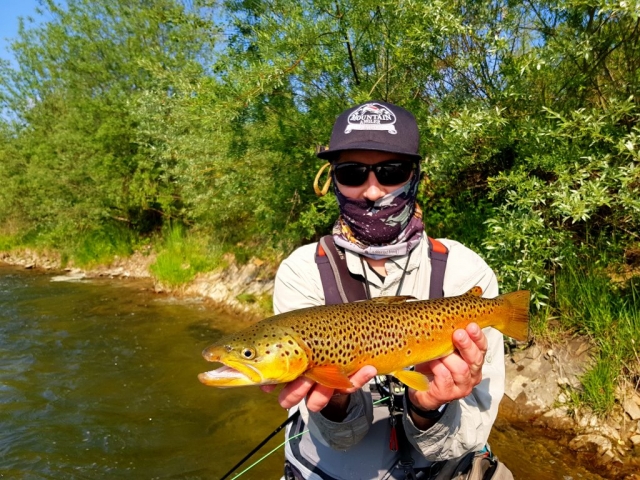 Hopper dropper method (dry &nymph) fishing & nice trout