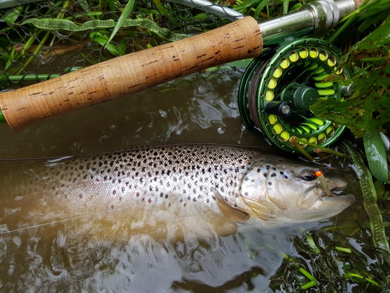 Fly Fishing in Poland