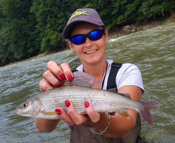 Grayling in dirty water. Cought with small nymph.