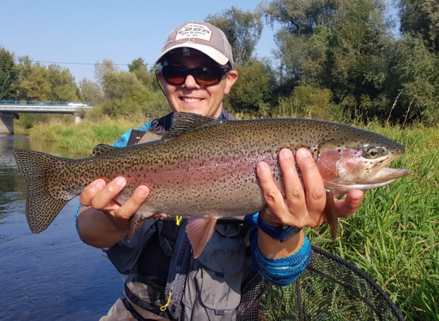Rainbow trout from Slovakia - fly fishing in Slovakia Vah River
