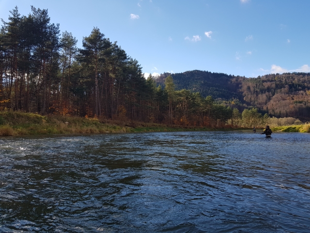 Poprad River close to Slovakia border, like San River in Poland