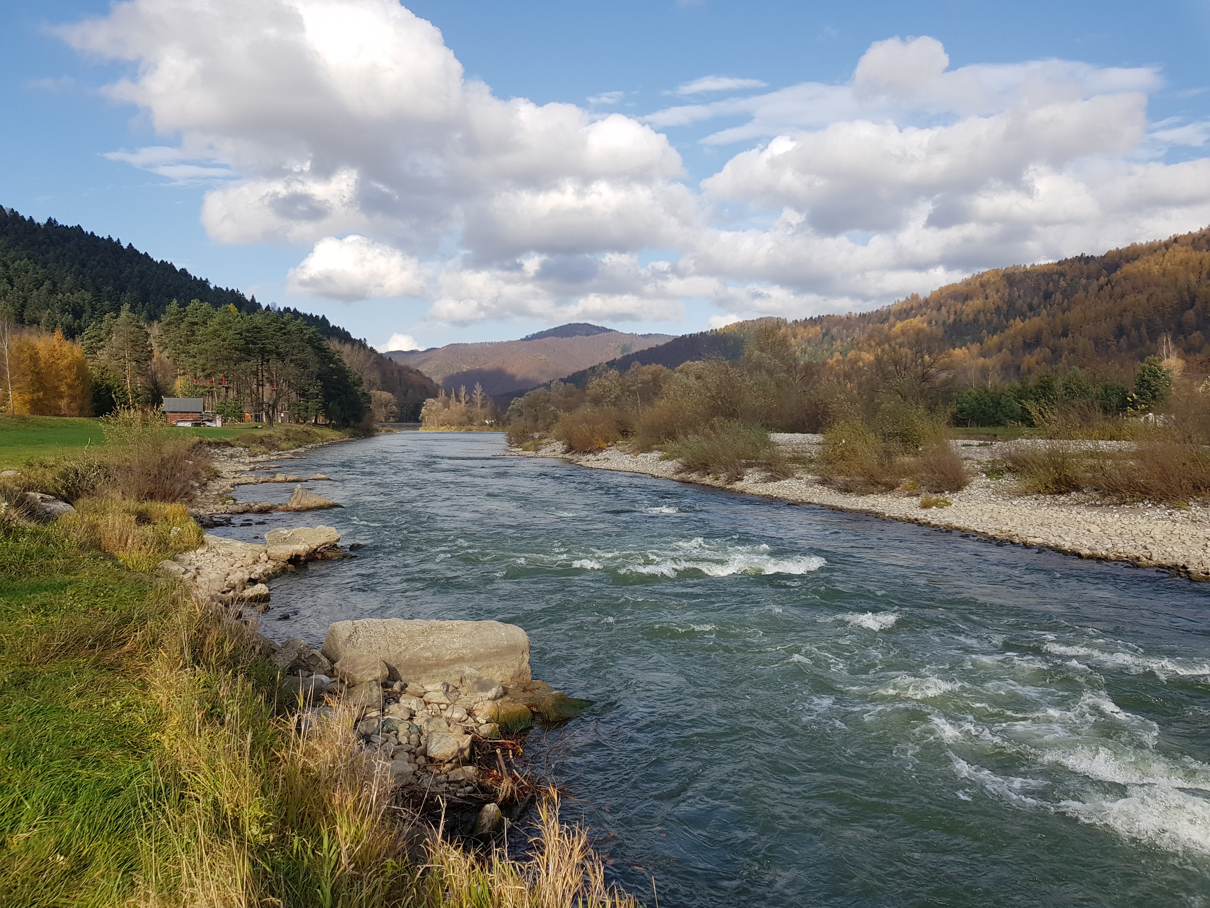 Dunajec River trout and grayling area Fly fishing Poland