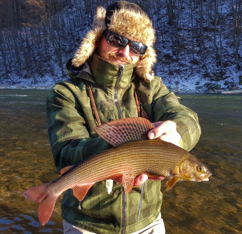 One more grayling from Dunajec River - fly fishing in Poland