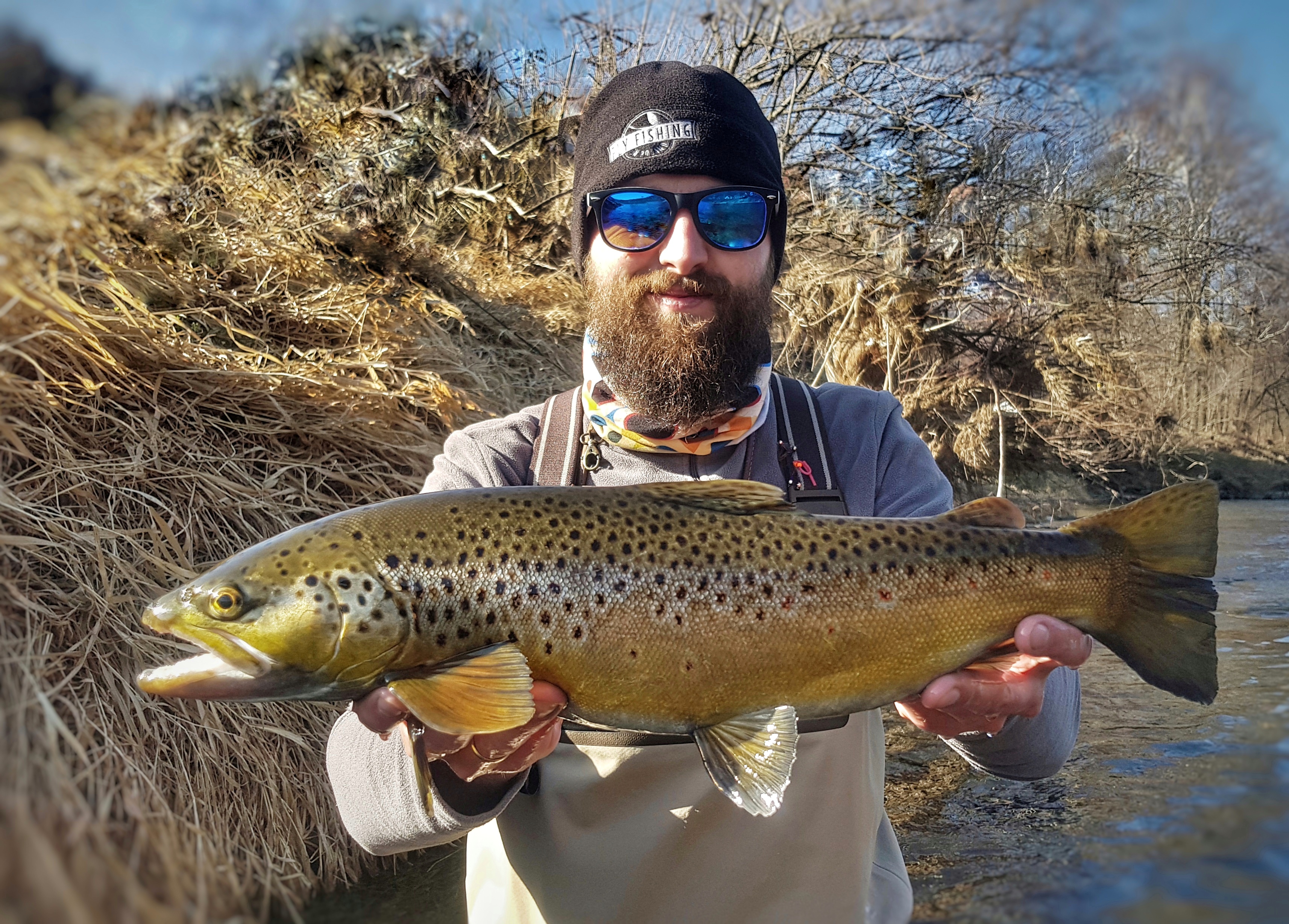 Big Brown Trout from opening the season in Poland
