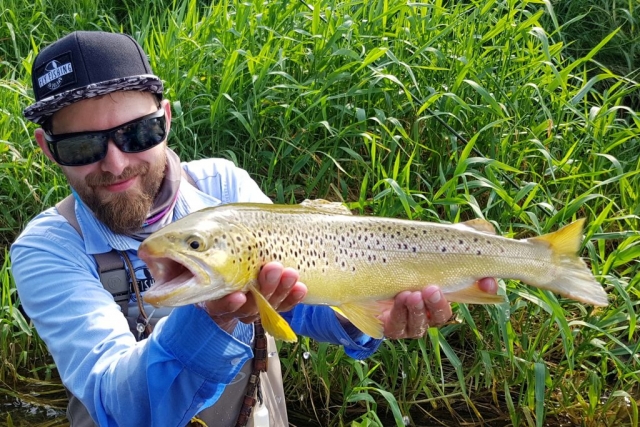Fly Fishing in Poland - best guide in Poland, Brown Trout