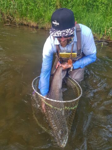 Good job guide - monster Hucho-hucho from Dunajec River, Poland