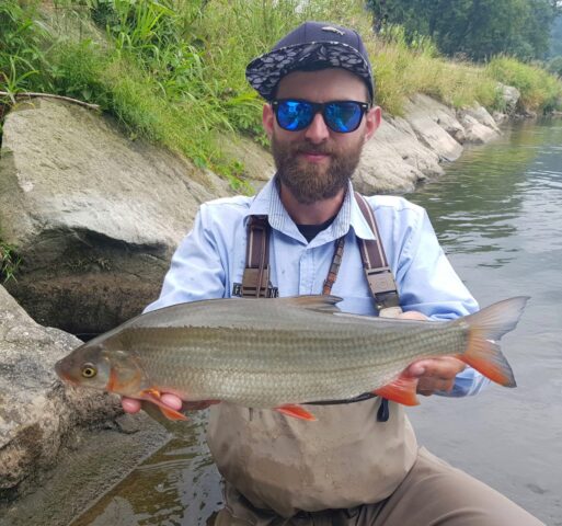 Nymph fishing technique catch nice Common Nase Fish - fishing guide Poland