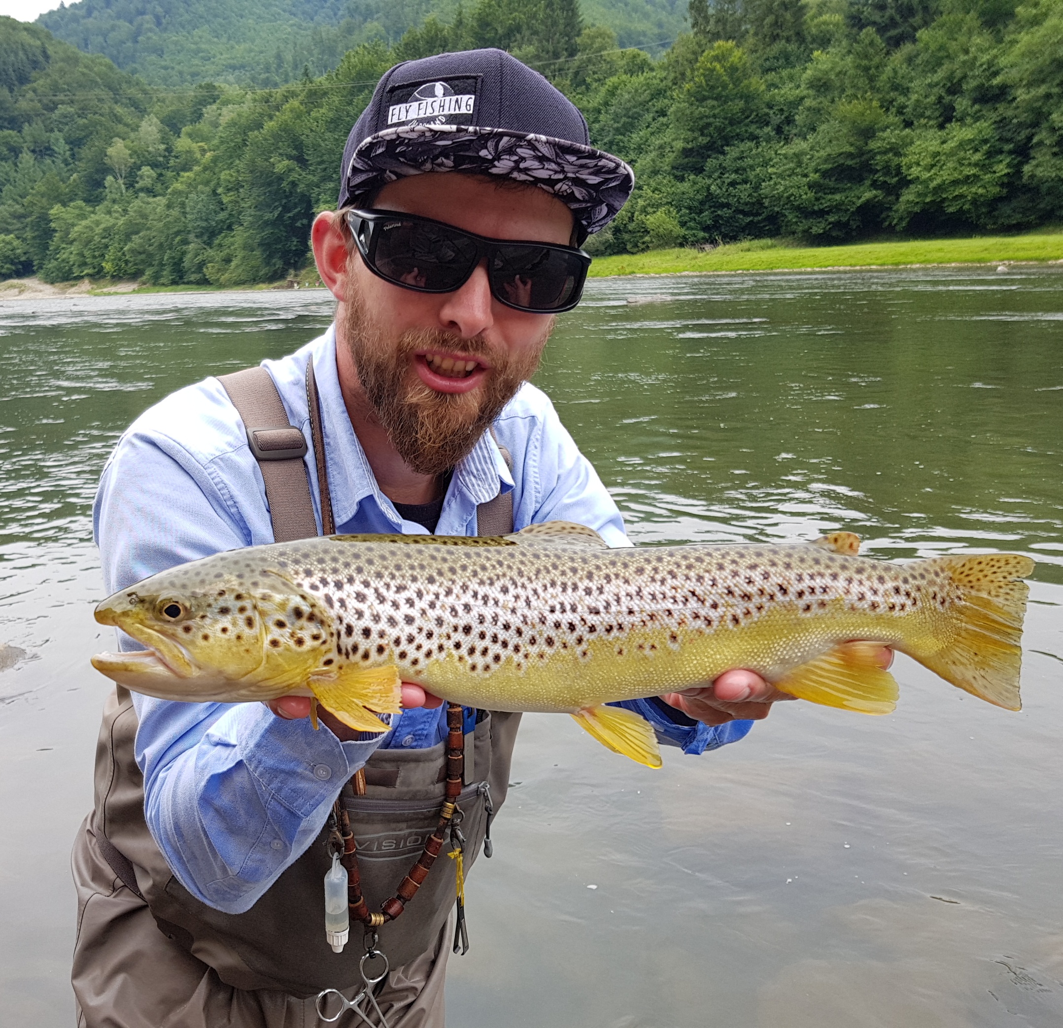 Dry Fly fishing - Brown Trout Dunajec River Poland