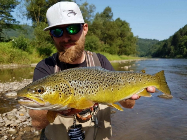 Fly fishing guide with nice trout Dunajec River - Poland