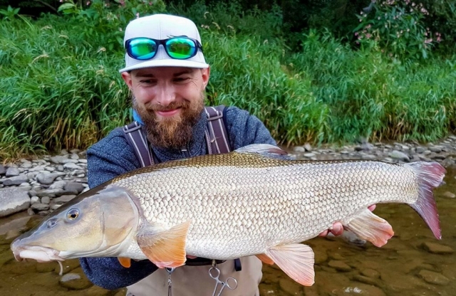 One of the biggest I cought - Fly fishing in Poland