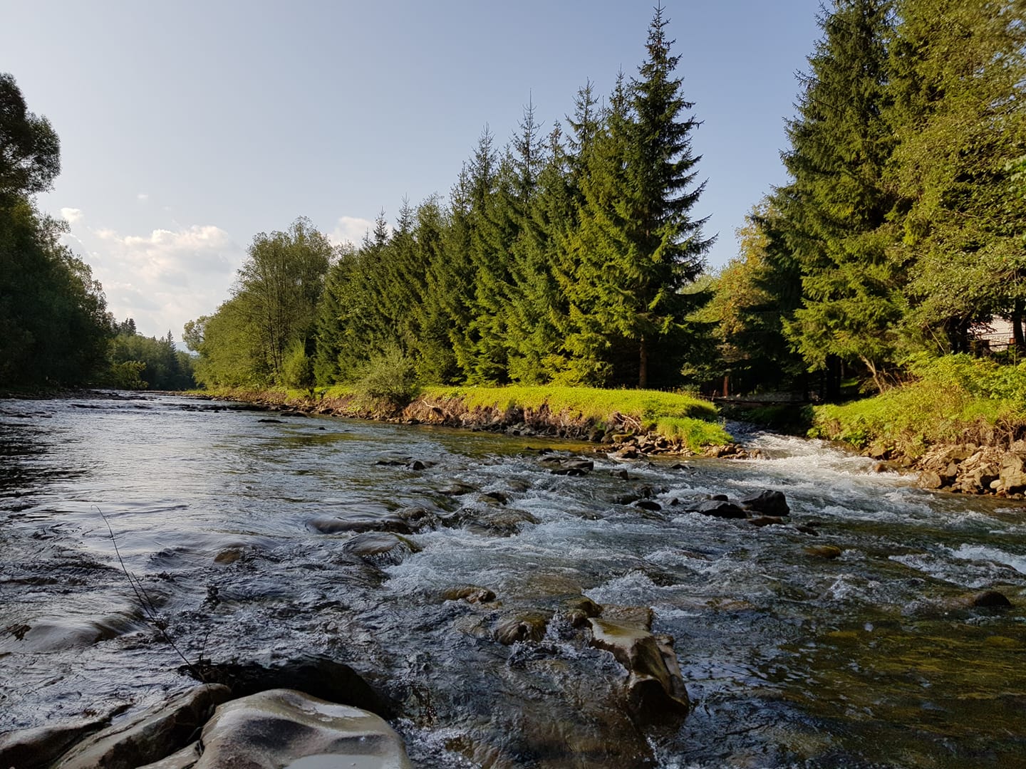 River which starts in Zakopane just under Tatry mountains Wild trout and grayling fishing