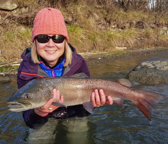 Hucho-hucho cought with big streamer - first cast brings fish