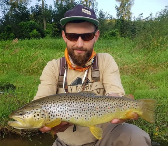 Wild brown trout fishing europe