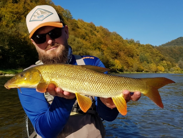 Autumn - the best time for nice fishing in Poland - Poprad - Barbel