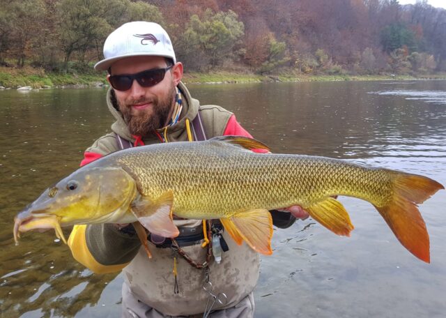 No kill fishing - Poland