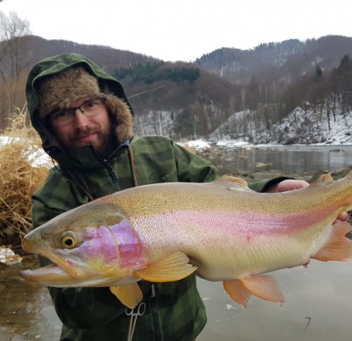 Cought on streamer for Hucho-hucho - Dunajec River