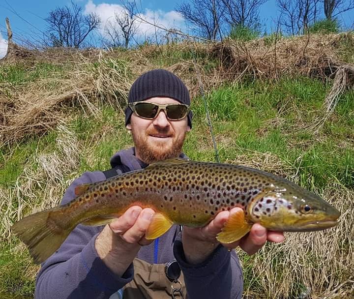 Beautifull brown trout you wont find it in Slovenia fly fishing