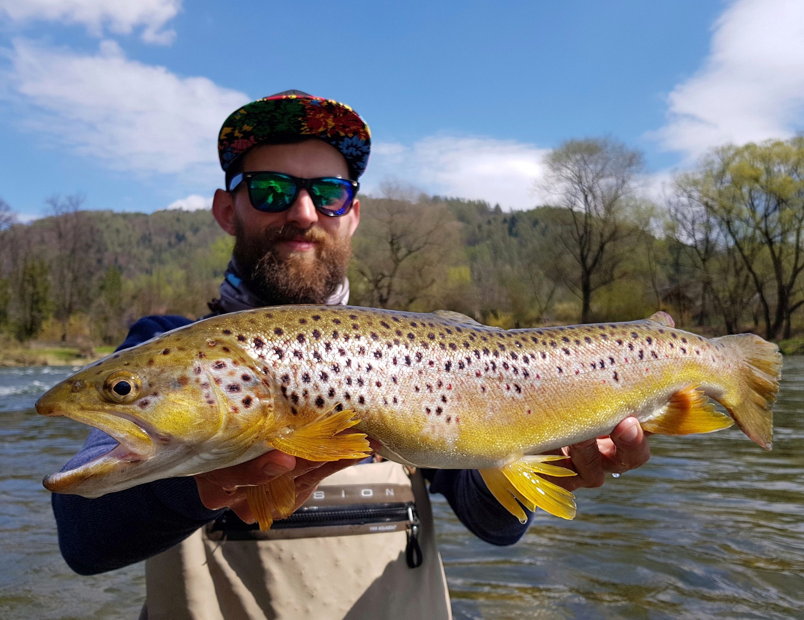 Brown trout similar we catch in Bosnia Rivers - like Ribnik