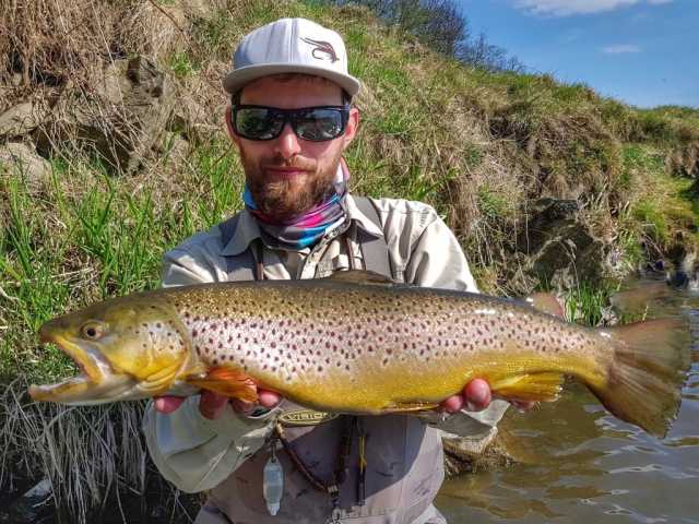 Nice Brown trout from Dunajec River - Fly fishing in Poland