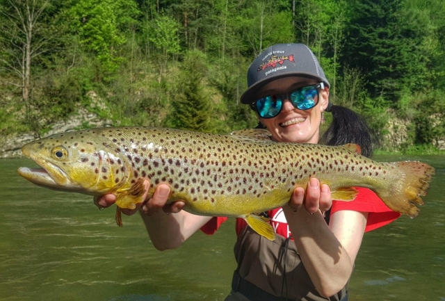 Big trouts from Dunajec - Easter Europe fly fishing
