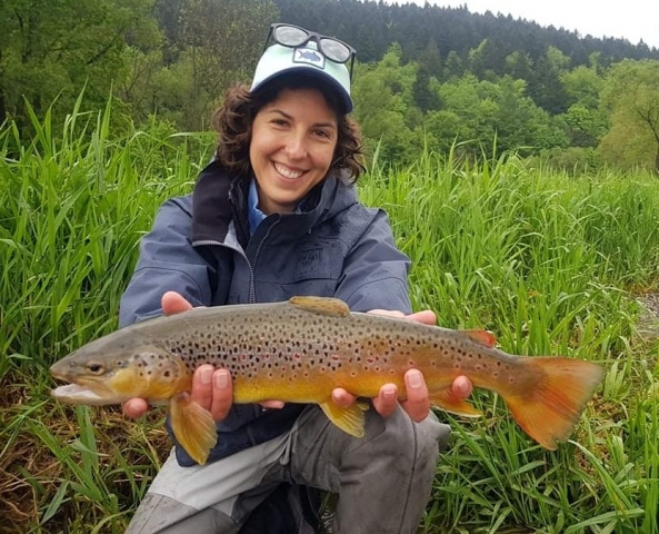 Nice Brow Trout - czech nymphing with heavy tungsten nymph