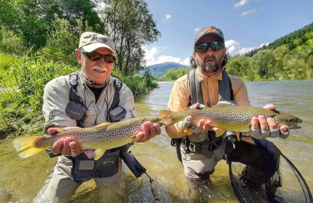 Streamer, dry fly fishing for trout - Poland