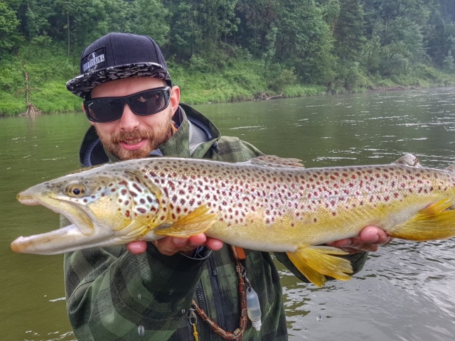 River fishing for brown trout - Dunajec River