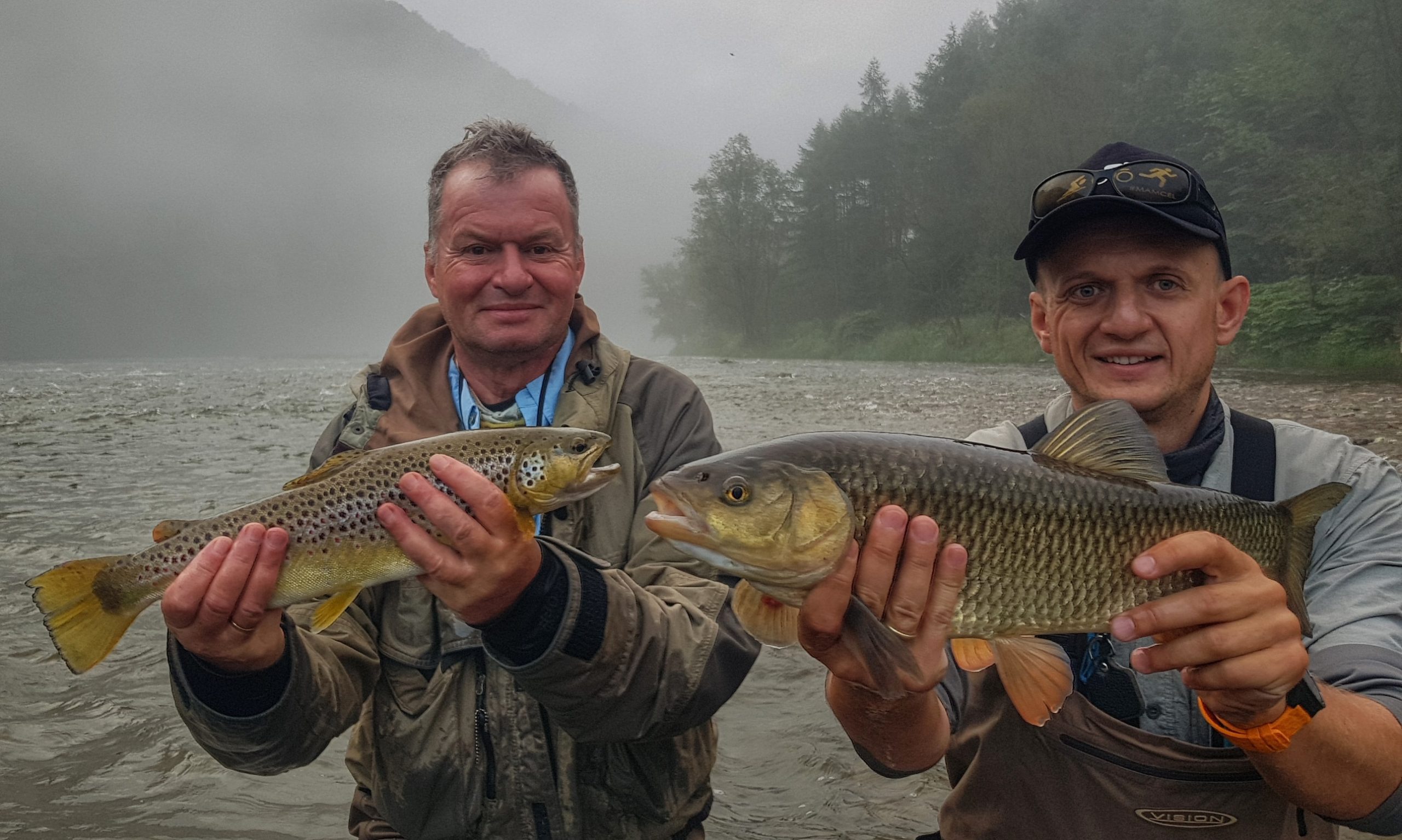 Wild mountain River Europe - Brown trout, chub