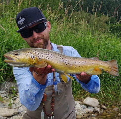 Best fishing area for trout, same as Ribnik, Bosnia, San Poland