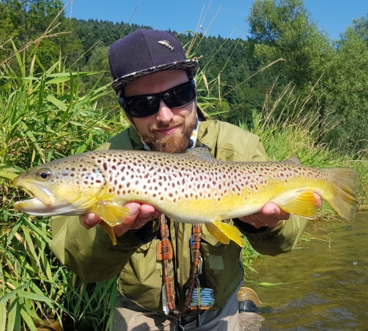 Wild mountain area for brown trouts and grayling - Europe - Poland