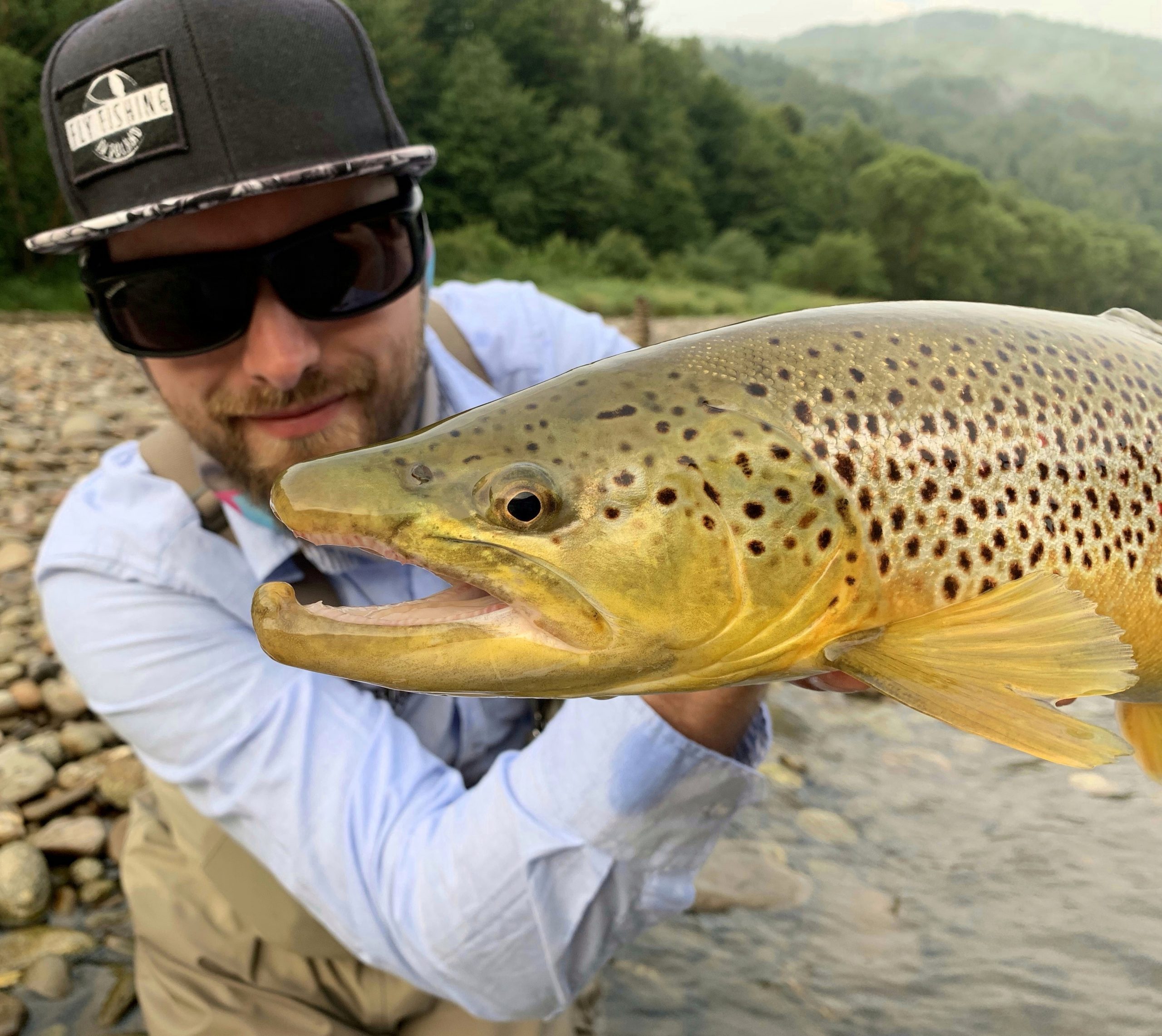 BEAUTIFUL Brown Trout from the Dunajec River Fishing trips EU