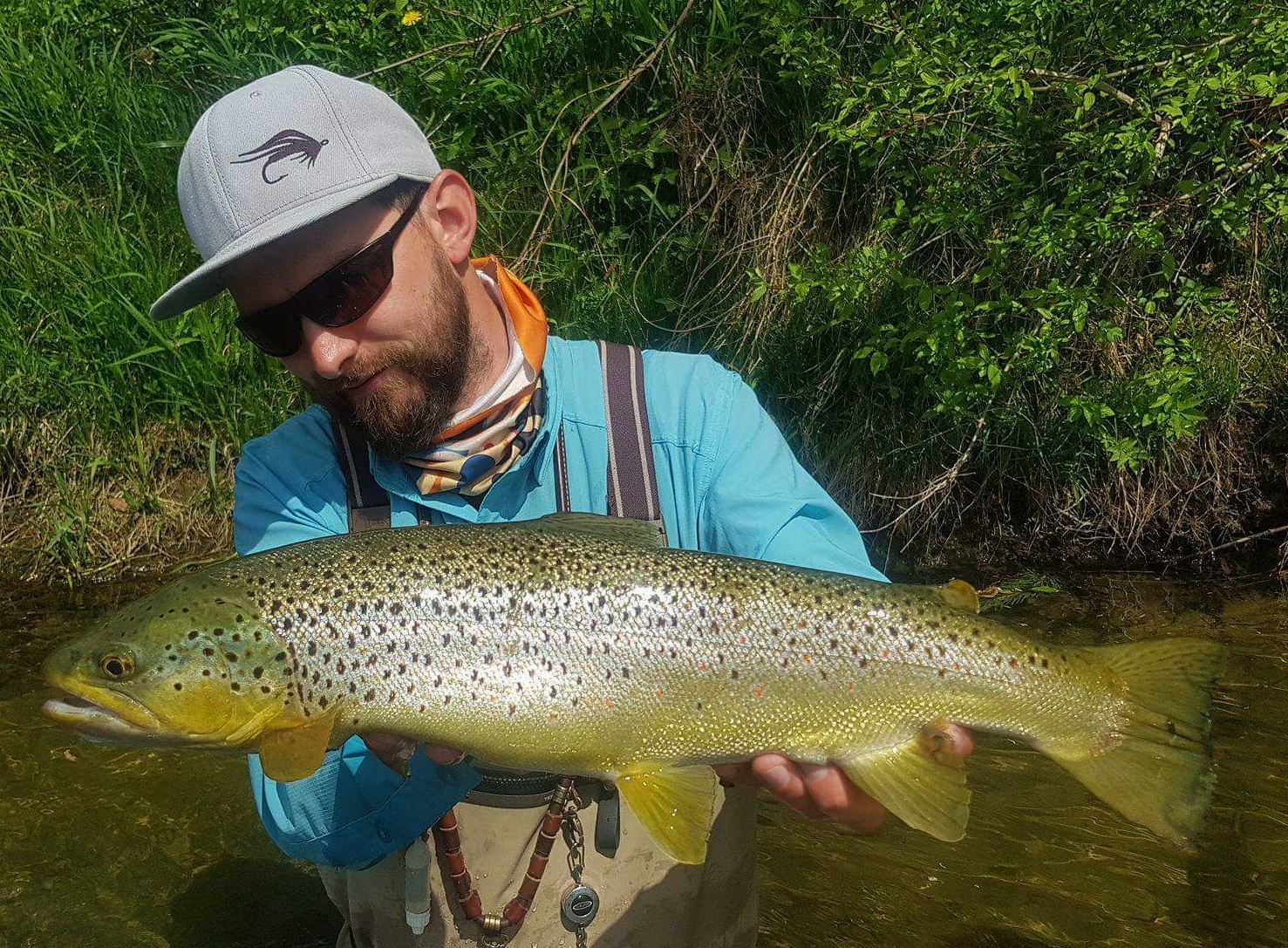 Streamer rod and zonker for trout brings Brown Trout Fly guide poland