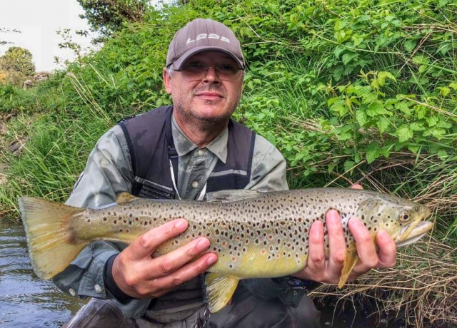 Powerful big trout from the Dunajec River - fly guide