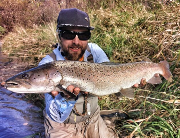 Danube Salmon Europe - Poland Fly fishing guide