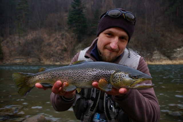 My friend fly fishing with streamer - Brown Trout beauty