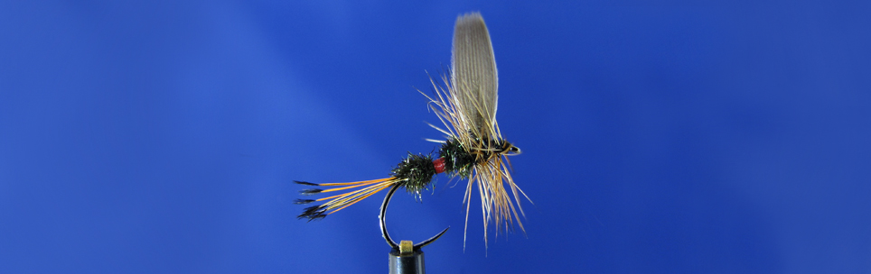 Royal Coachman dry fly, tippet, peacock hearl, red silk, mallard duck wing
