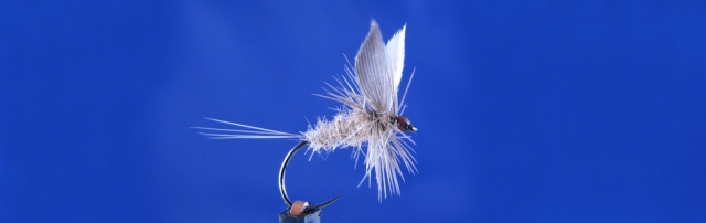 Classic Dry Fly for trout & grayling Fly Fishing in Poland