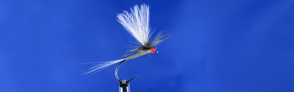 Olive Dun, dry fly for trout Fly Fishing in Poland