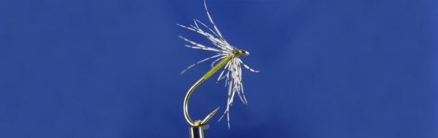 Olive spider the best for trout fishing, Akita hook, partringe hackle, olive thread UV Deer Creek