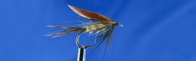 Wet fly dark brow wing, trout fly, wet fly fishing