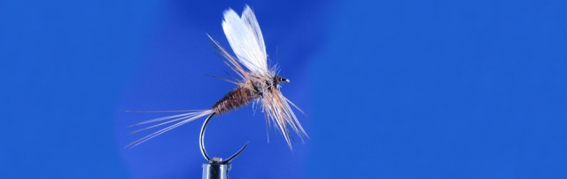 Classic dry fly, Veevus 8/0 thread, Hanak hooks, duck white wing