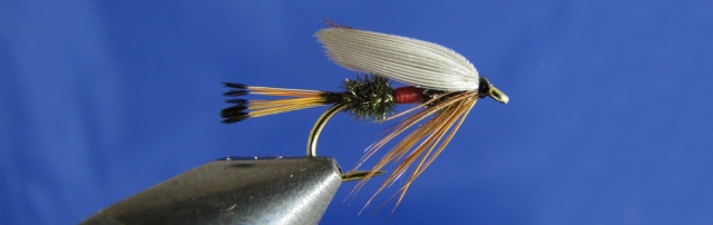Royal Coachman Wet tippet, peacock hearl, red thread, brown hen hackle, white wing.