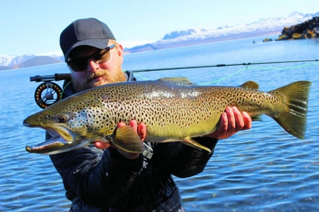 Monster trout from Iceland and our fly fishing guide in Poland