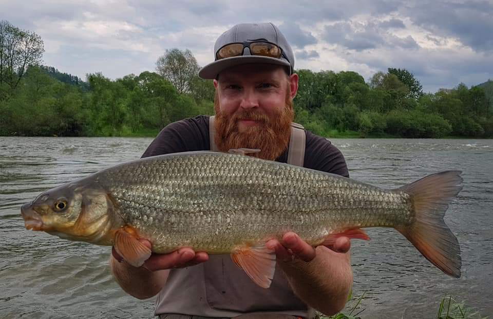 Nase fish from Dunajec River - Fly Fishing guide