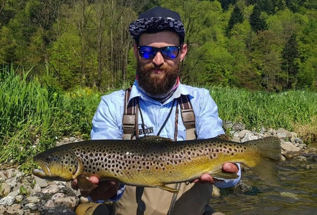 Brown Trout Dunajec River Fishing Guide