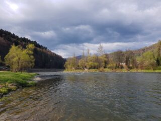 Great streamer fishing spot