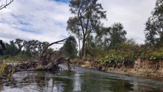 Perfect for graylings in Autumn. Dry fly & nymph area.