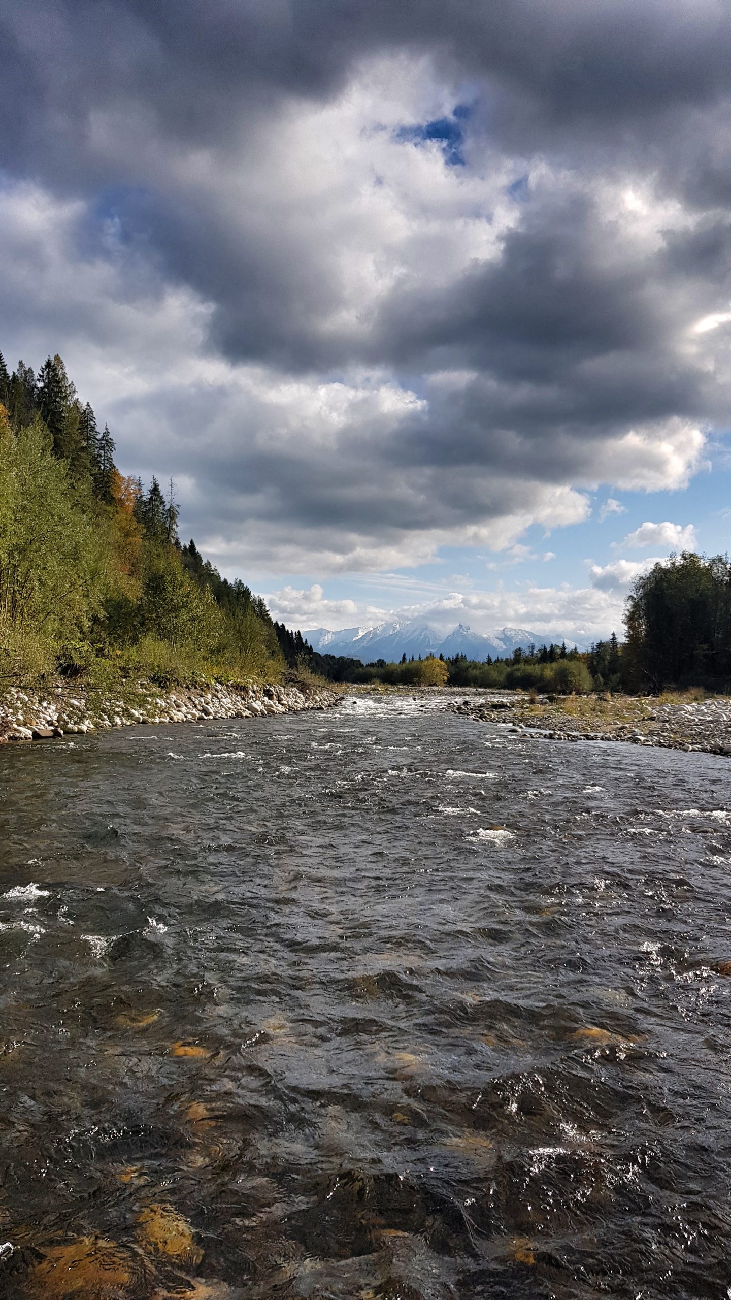 Rapids for grayling and trout fly fishing in Poland
