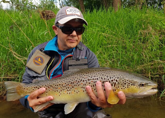 Small Spanish streamer cought this monster fish.